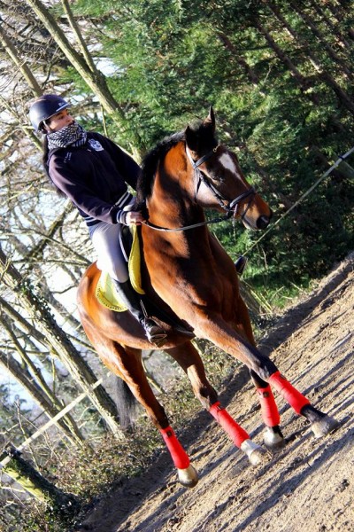 Photo de profil de erika1705