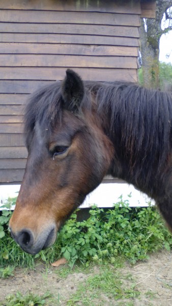 Photo de profil de espoire