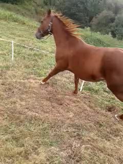 Photo de profil de etalonman64