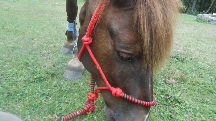 Photo de profil de etoilerainbow