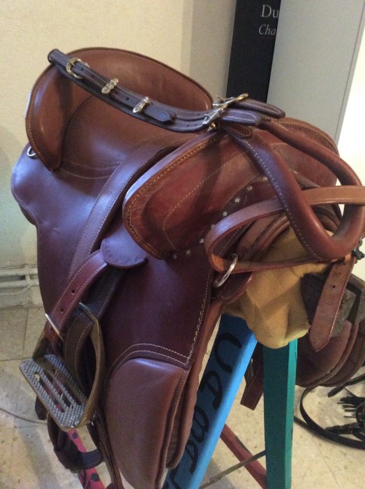 Photo de profil de fanmeg