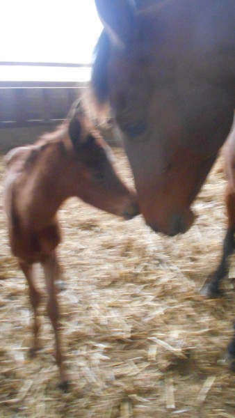 Photo de profil de farahlow