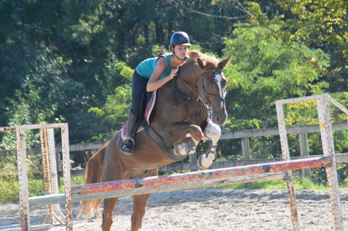 Photo de profil de feltmanon