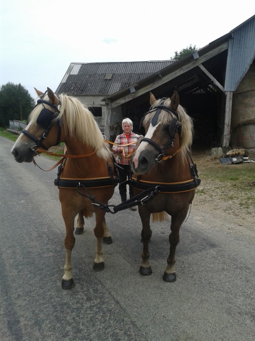 Photo de profil de fermedetymotter