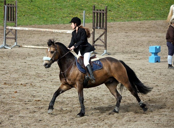 Photo de profil de fionagrd