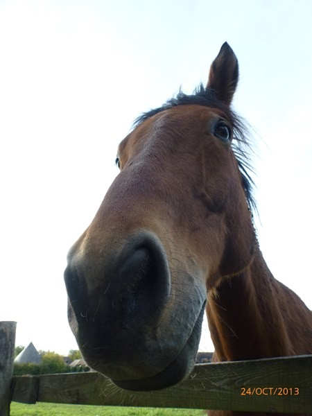 Photo de profil de francoiselfe