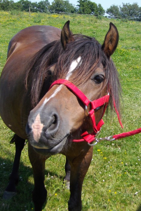 Photo de profil de fuyie