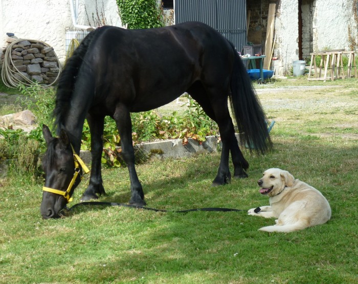 Photo de profil de gaab