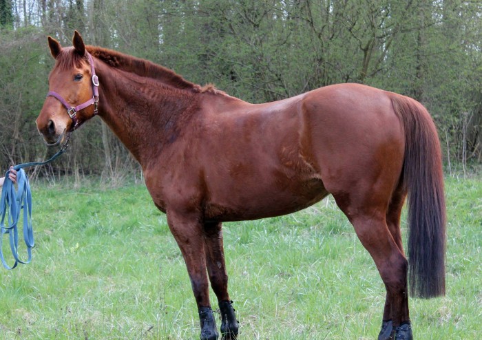 Photo de profil de genaheiden