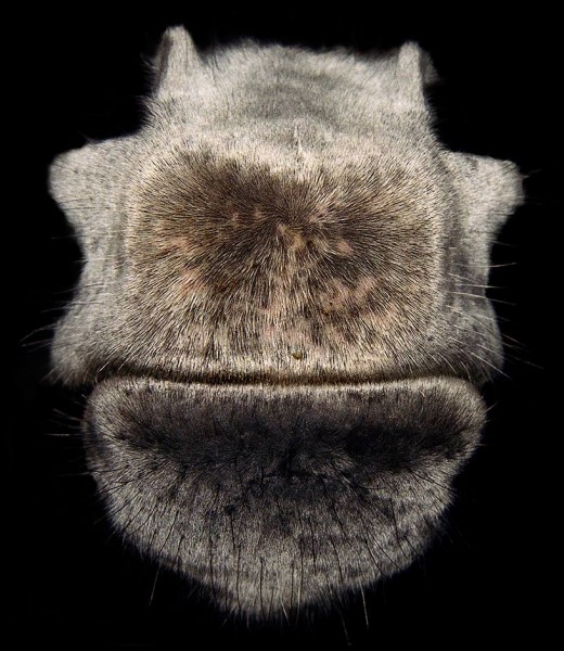 Photo de profil de geor_jee