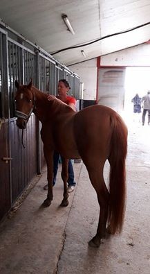 Photo de profil de gisele55