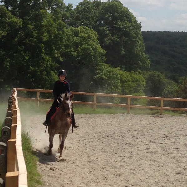 Photo de profil de graindesoleil