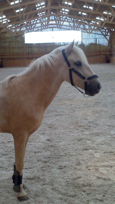 Photo de profil de granite