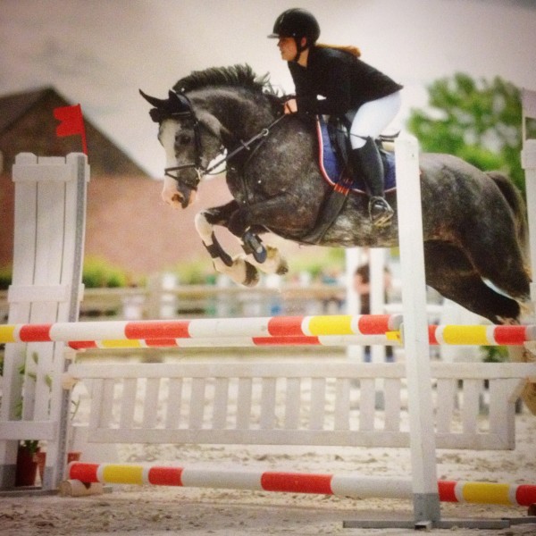 Photo de profil de halov