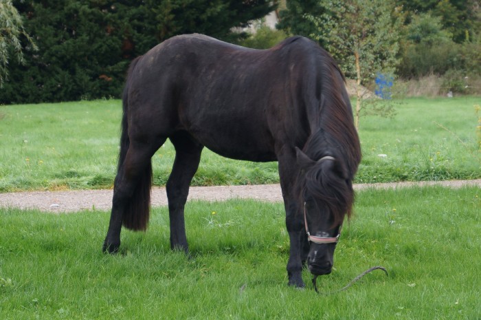 Photo de profil de helioguitard