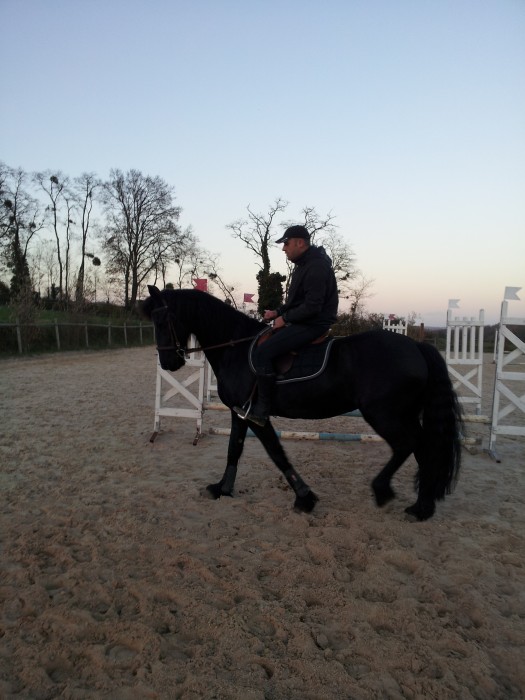 Photo de profil de hermionefrison