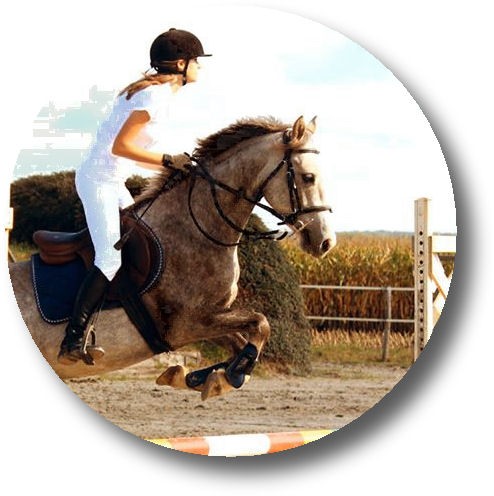 Photo de profil de horse_dreaming