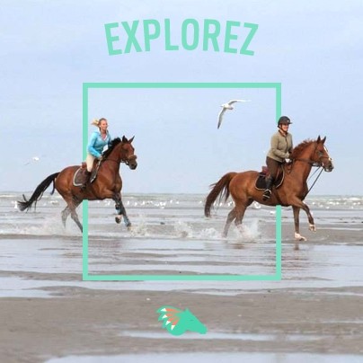 Photo de profil de horseee