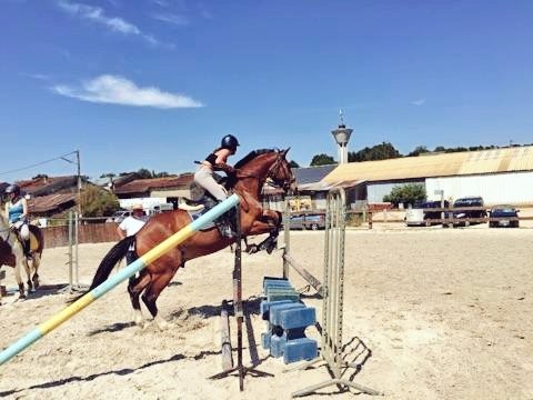 Photo de profil de horse_gp