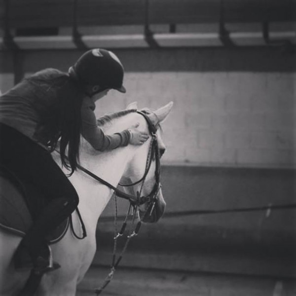 Photo de profil de horsehappiness