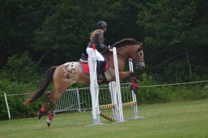 Photo de profil de horselove33