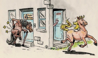 Photo de profil de horseosteopathi