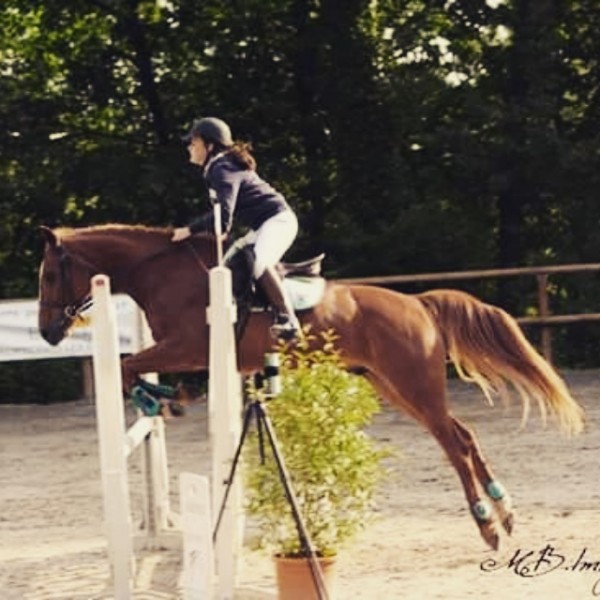 Photo de profil de horsepassion37