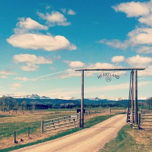 Photo de profil de horsevanille