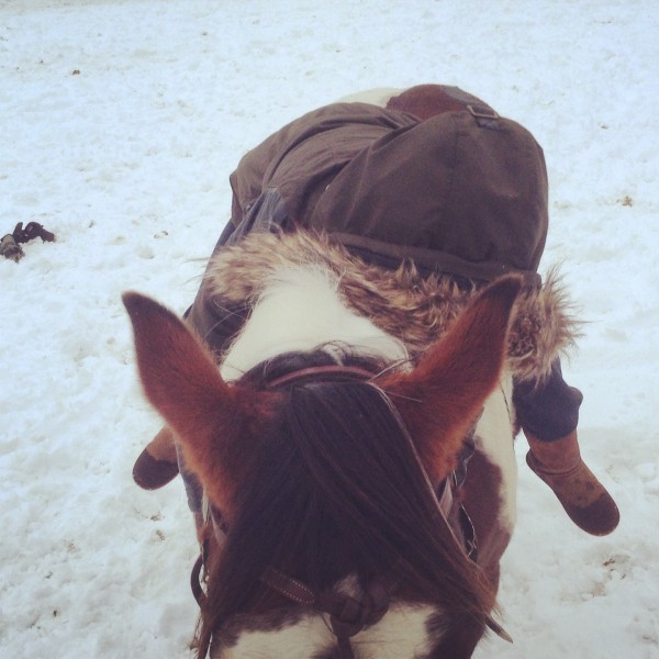 Photo de profil de hrselver