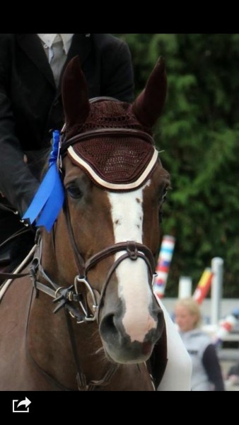 Photo de profil de hugoguerinj