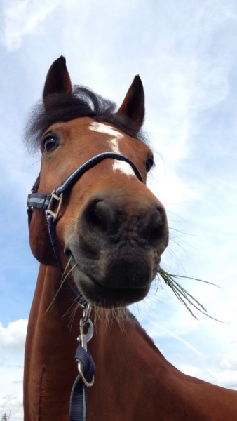 Photo de profil de ibottin