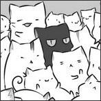 Photo de profil de ikachou