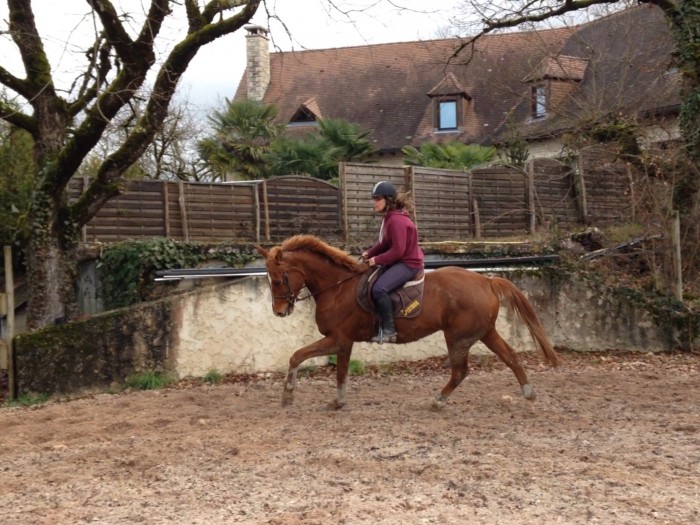 Photo de profil de ilisette