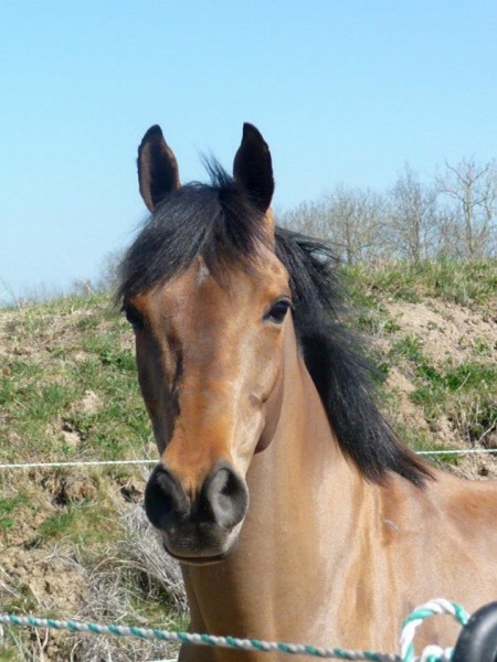 Photo de profil de iloloh79