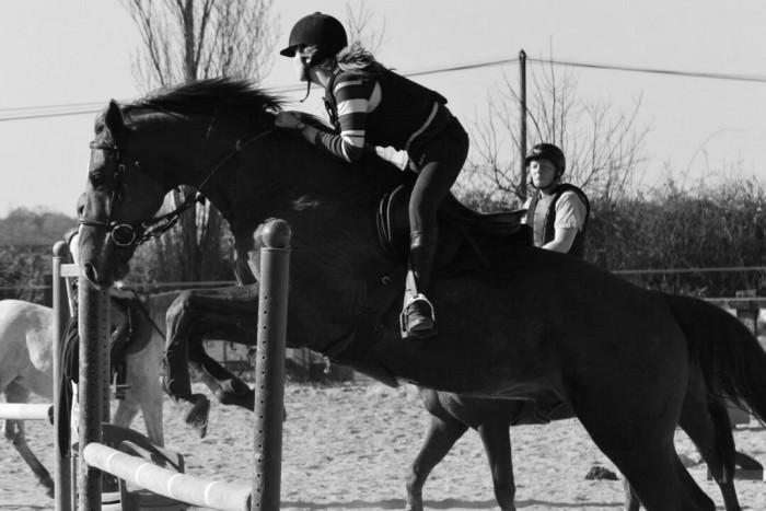 Photo de profil de jad13_brg