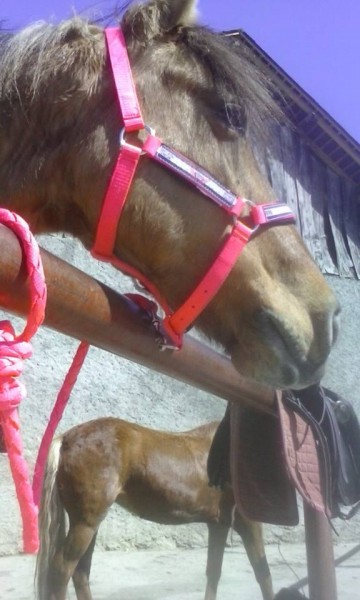 Photo de profil de jade4526318