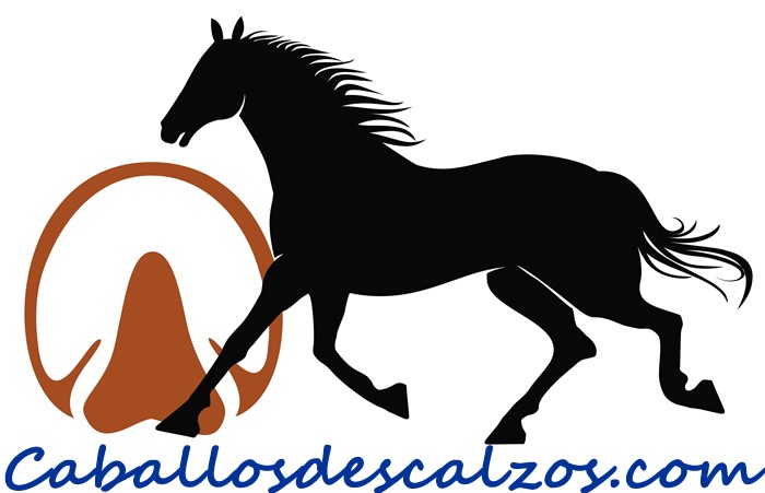 Photo de profil de jeanraf