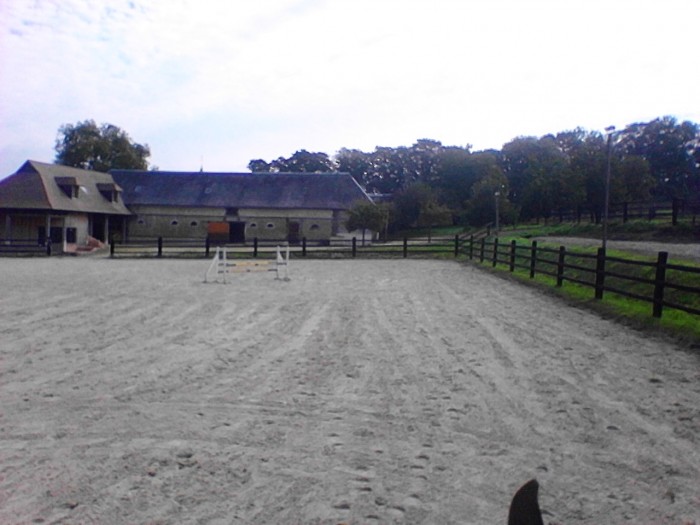 Photo de profil de jfrancis