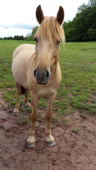 Photo de profil de jilouu