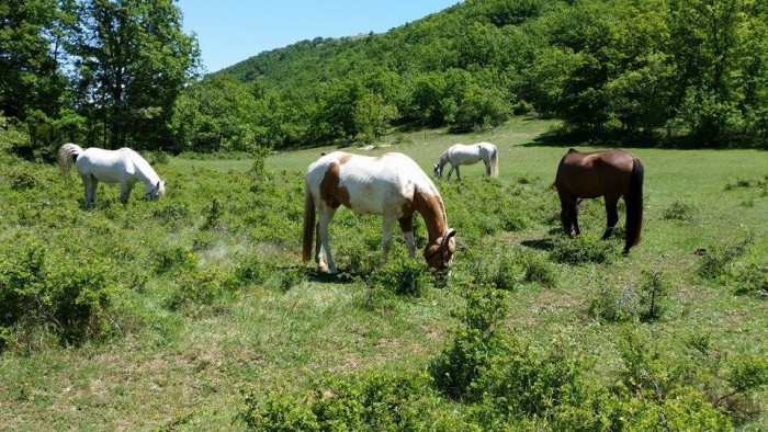 Photo de profil de joanna.k