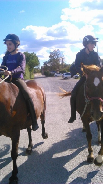 Photo de profil de johannahors