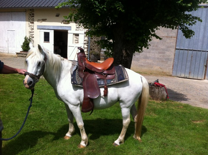 Photo de profil de jomarie