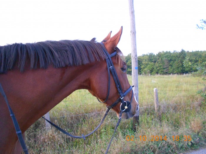 Photo de profil de juju42