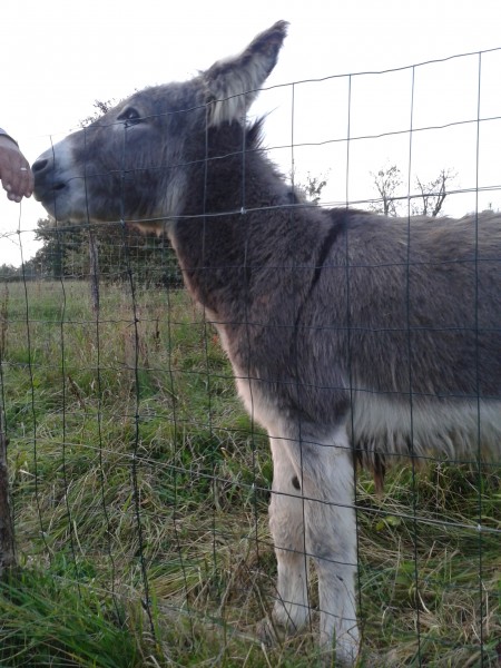 Photo de profil de juliette73