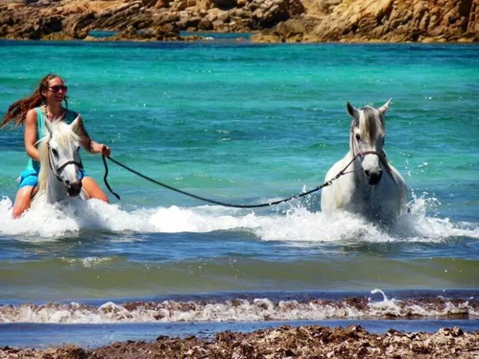 Photo de profil de julk