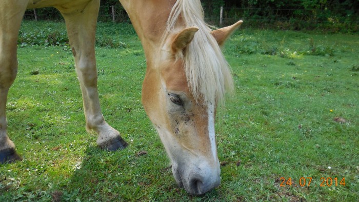 Photo de profil de junior01