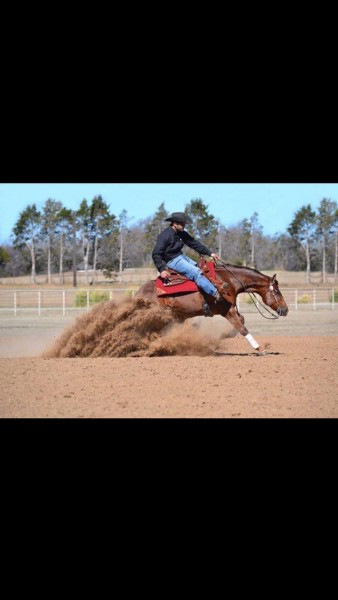 Photo de profil de jureining