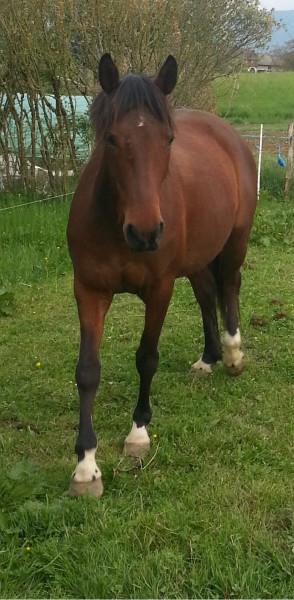 Photo de profil de kamiko