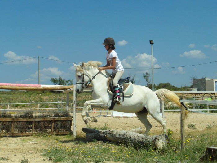 Photo de profil de kami_love_equit