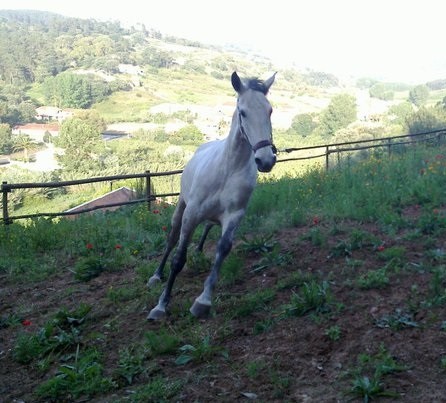 Photo de profil de karlosf